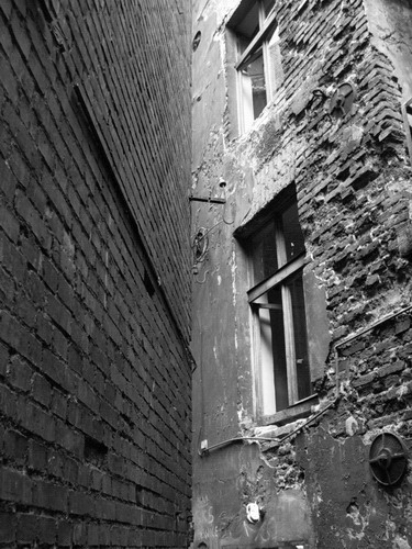 foto - Dariusz Walerjański